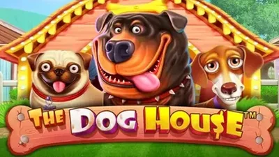 The Dog House